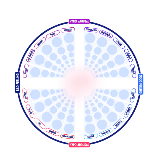 Affect Feeling Wheel (digital download)